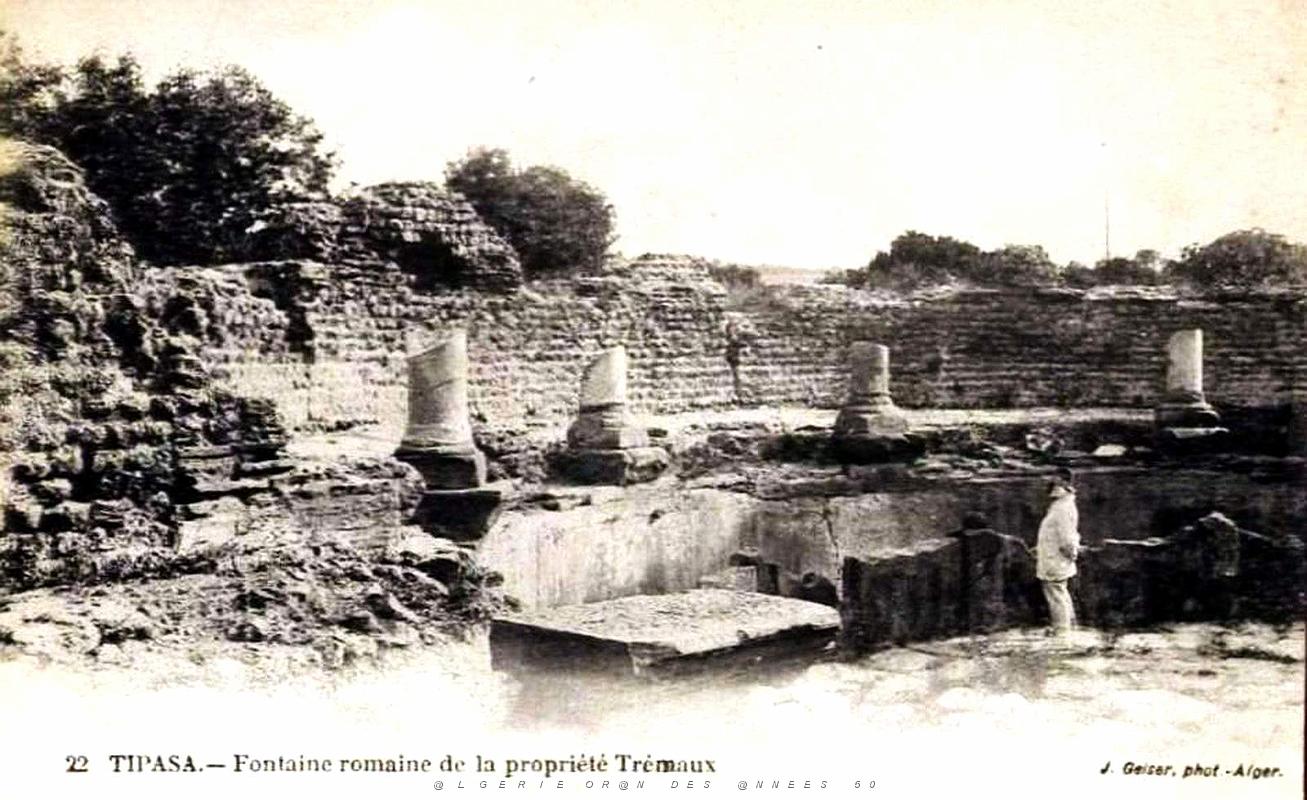 Tipasa - Ruines romaines 15.jpg